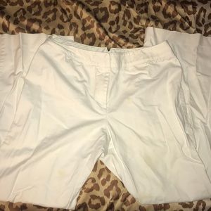 Ann Taylor pants